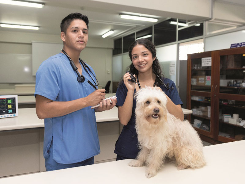 Medicina Veterinaria de UPAO cumple vigésimo aniversario - Prepara un programa de actividades académicas y sociales con alumnos y egresados de éxito.